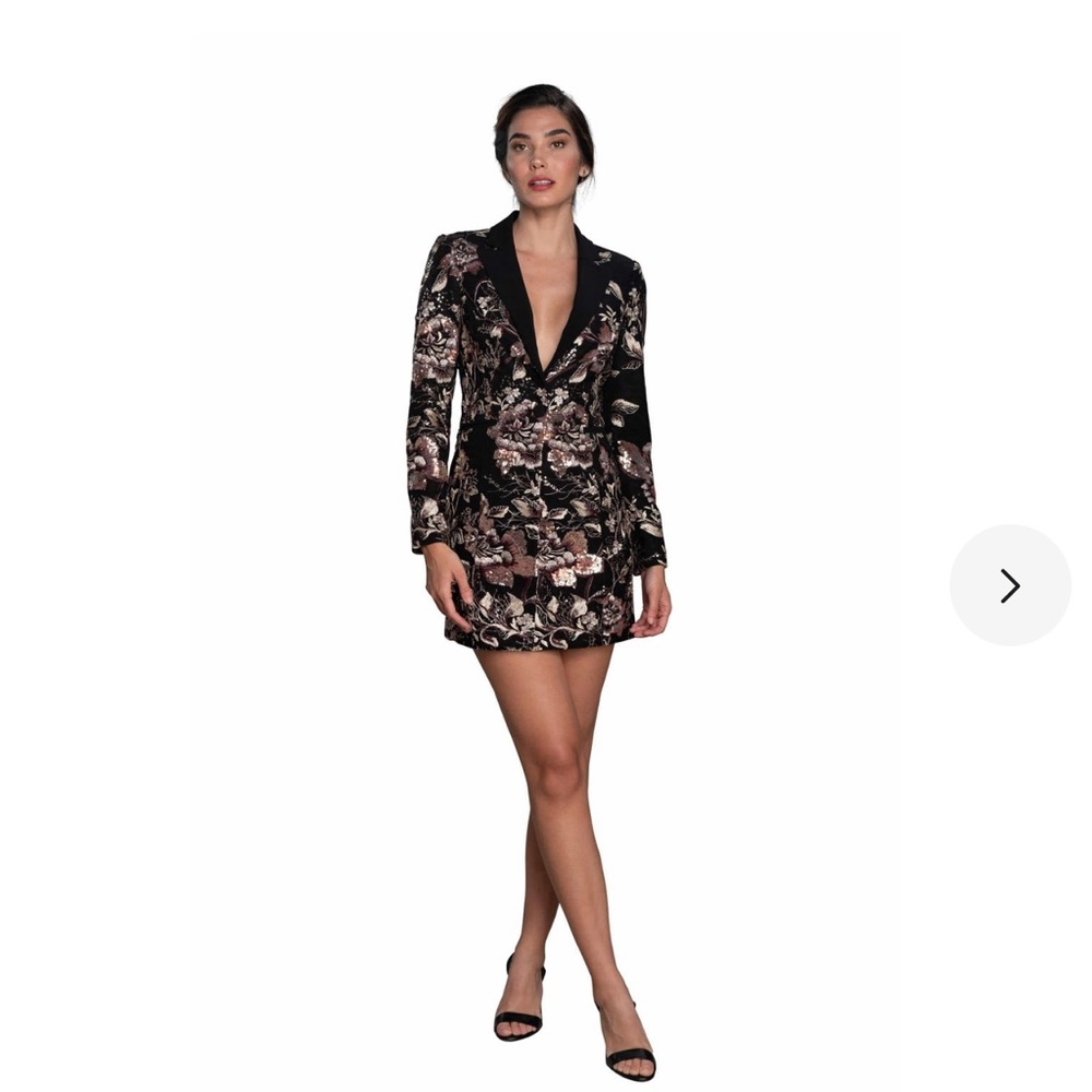 Dress the population Berkeley dress xs NWT